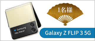 GALAXY Z FLIP 3 5G GALAXY Z FLIP 3 5G